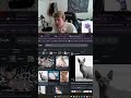 CHAT SAID THESE ARE MY PERSONALITY TRAITS | #branden on #Twitch