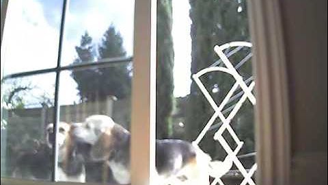 D-Link DCS-5220 SecuriCam(SN: 0575)