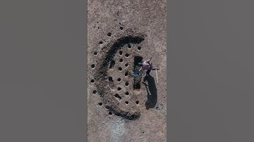 How a Simple Half-Moon Saves Forests! #shorts