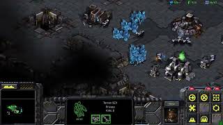 Terraner Imortal fleet