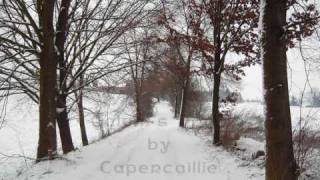 Video thumbnail of "Capercaillie - Calum's Road"