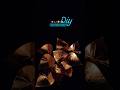 🌺 Waste Box se Banaye Decorative Pattiya | DIY Craft for Festivals 🎉 #craftozone
