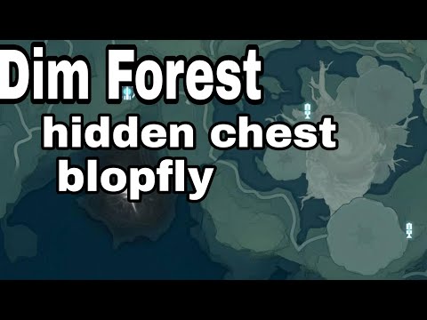 Dim Forest hidden
