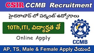 CSIR CCMB new Recruitment in telugu| CSIR Permanent jobs Notification| make money