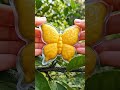 What happens when a lemon grows inside a butterfly-shaped mold? 🍋🦋Lemon #FruitArt #Nature #Shorts