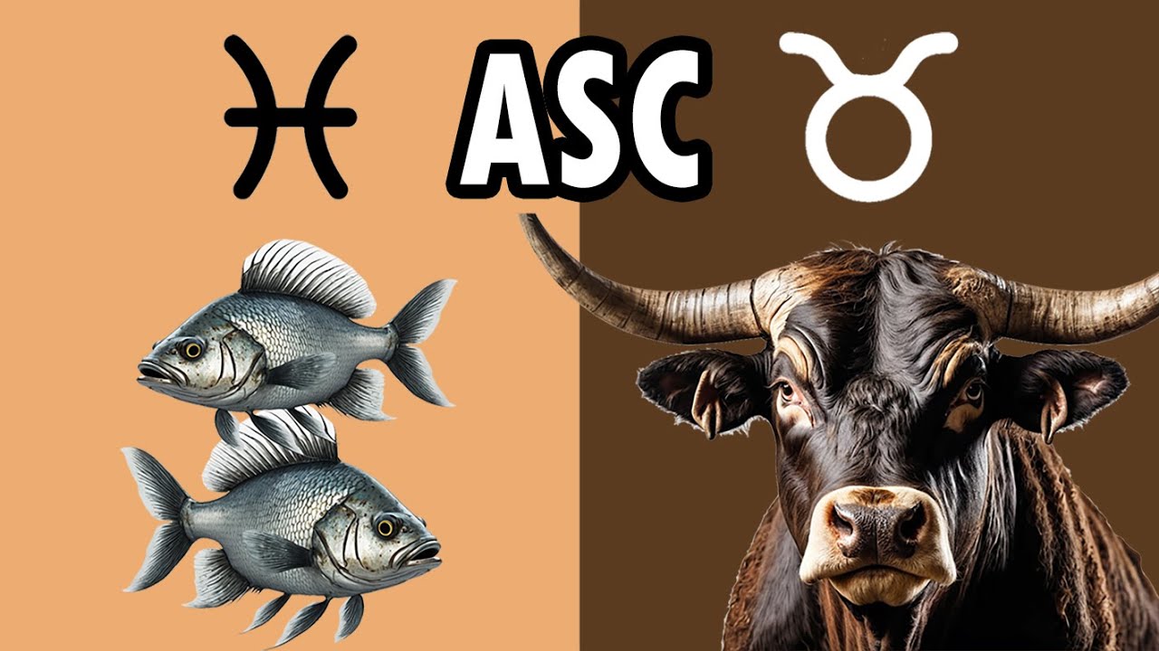 PISCIS ascendente TAURO - Compasión y perseverancia - YouTube