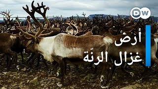 وثائقي | الصيد في الدائرة القطبية الشمالية - شعب "سامي" ضد السويد | وثائقية دي دبليو