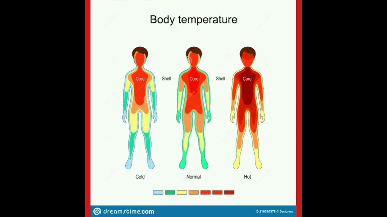 34 5 temperatura corporal