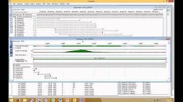 DNASTAR - Identifying Causal Genes of Rare Mendelian Disease Webinar