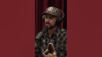 Battle Royale with a 17 foot python PART 1 #JoeRoganExperience #JRE #JoeRoganPodcast #Rogan