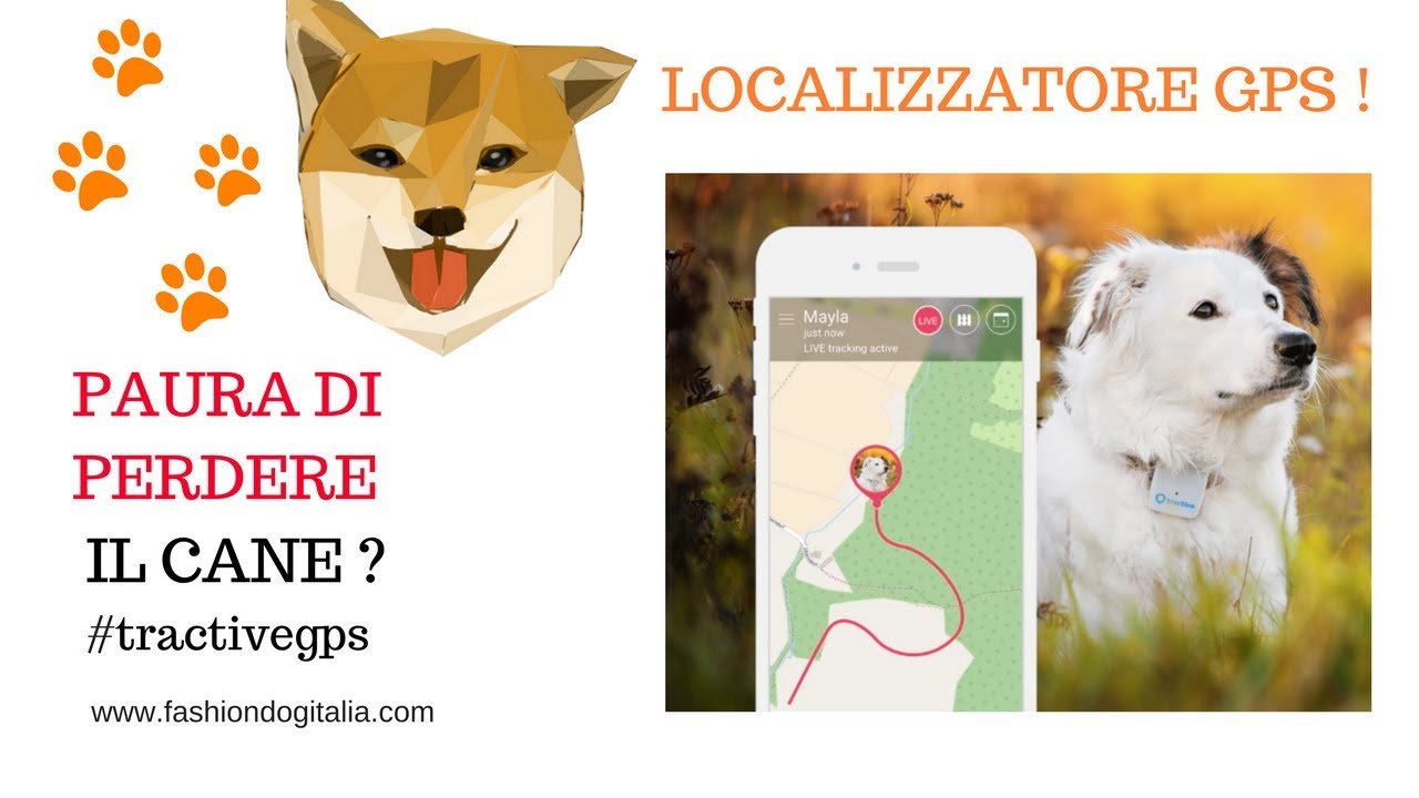 Hai paura di perdere il cane? Tractive GPS la mia opinione! - YouTube