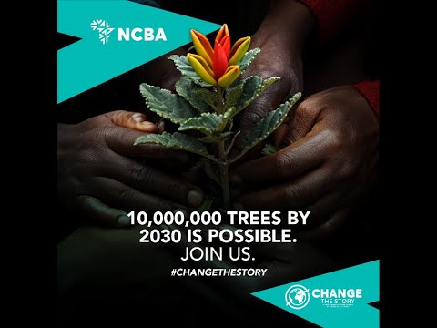 NCBA Group Unveils Sustainability commitments.