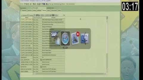 Apple SAP on iPhone Demo