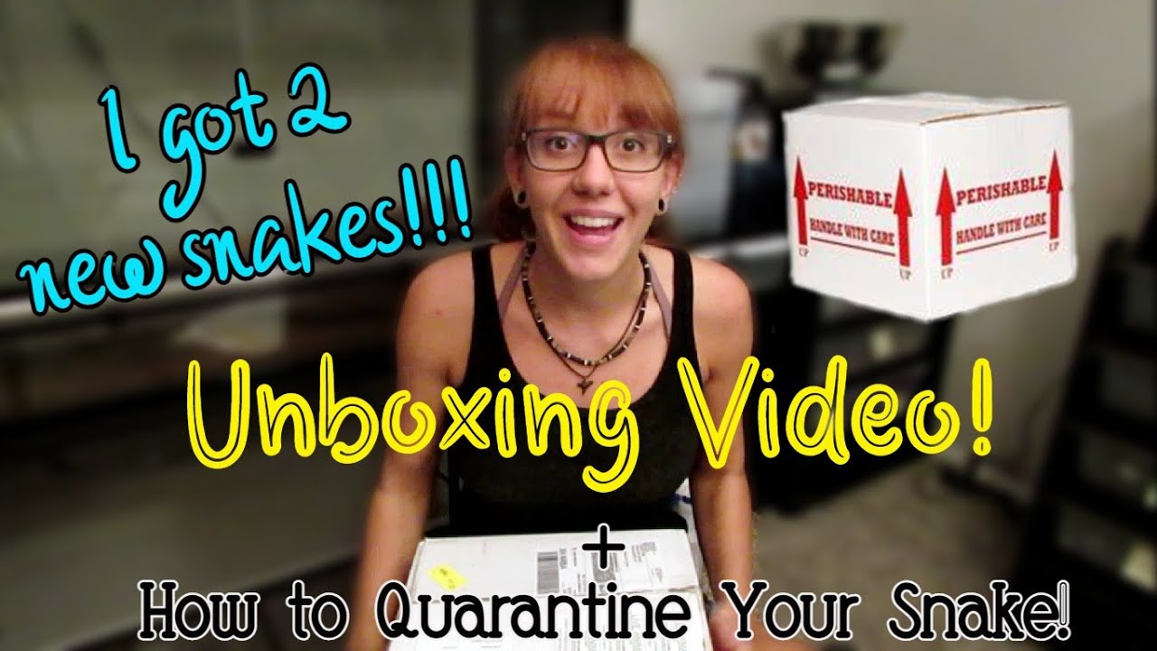 I GOT TWO NEW SNAKES! + How to Quarantine a New Reptile Pt. 1 Ball