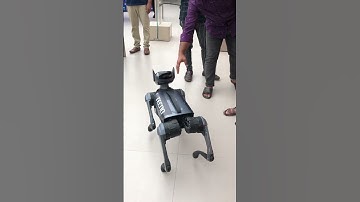 TECNO Dynamic 1 Robot Dog 🐕🤖 | Future of Robotics #TecnoDynamic1 #RobotDog #shortvideo  #foryouシ