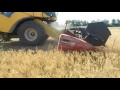 Выращивание  нута. No till  2.08.2017. Уборка семенных  участков  нута. Сорт " Память"