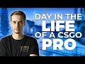 Day in the life of a csgo pro  fashr