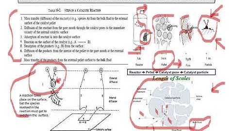 CHE505 Chapter One Part 2 1 Steps in heterogeneous catalytic reactions