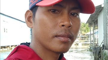 câu tôm song tiền đếm con một buổi câu dính bao nhiêu con#cautom#song#chê miền tây