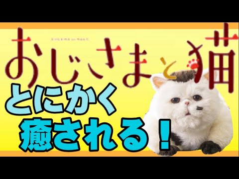 ドラマ「おじさまと猫」がとにかく癒される！ふくまる（神木隆之介さん）と草刈正雄さんがカワイイ！！