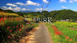 【ノスタルジックな日本の故郷】明日香村の絶景20選 - Nara, Japan in 8K