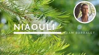 Niaouli - The Oil of Unwavering Certainty
