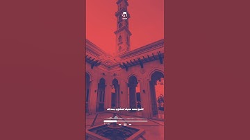 أول سورة الرحمن الشيخ محمد صديق المنشاوي رحمه الله