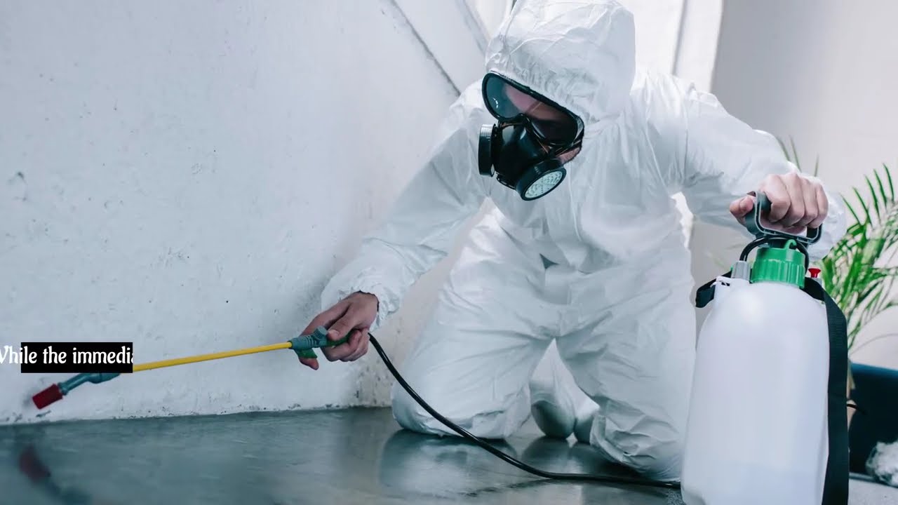 EMK Termite & Pest Control Sydney - Save Money With Annual Termite Treatment Services