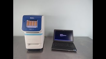 ABI StepOne Plus Real Time PCR