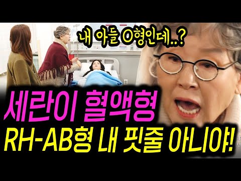 (세번째 결혼) 강세란 충격적인 실수! 세번째결혼 리뷰 예고 선공개