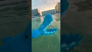 How to Escape a Rip Current 🦈 #ripcurrent #ocean #beach #survivaltips #escape