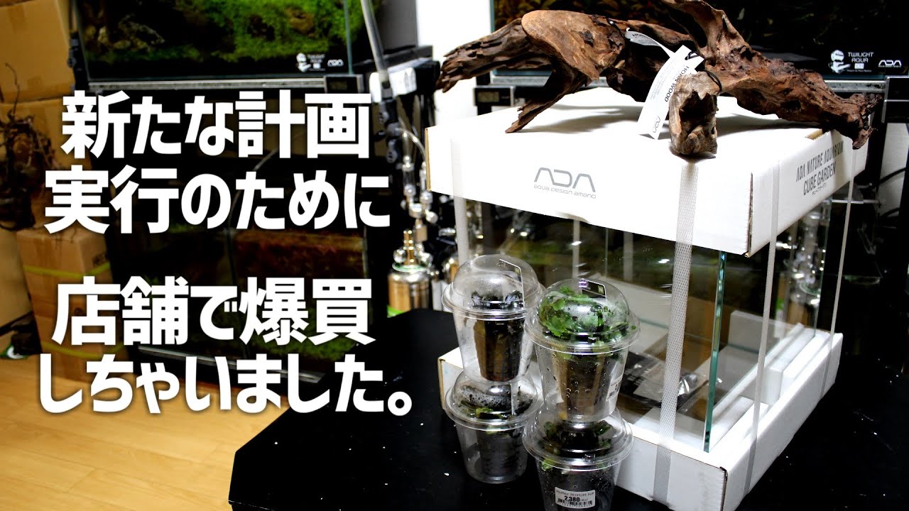 ADA products and aquatic plants are bombarded with new