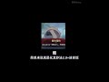 [Honkai Star Rail]当一群e人发现了一个落单的i人#honkaistarrail #castorice #遐蝶
