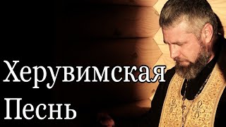 видео: Херувимская Песнь на Литургии картинка: Херувимская Песнь на Литургии