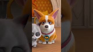 Pet House Blame It On My Curiosity 都怪我好奇 Flying Moco Shorts 爆笑飛狗Moco 2023