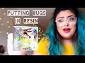 How To Preserve Bugs In Resin!