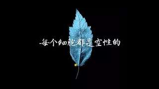 201403 每个细胞都是空性的30803