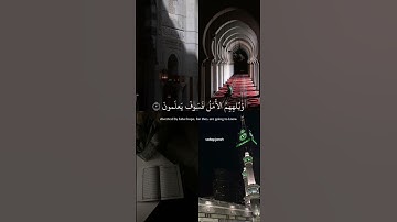 ﴿رُبَما يَوَدُّ الَّذينَ كَفَروا لَو كانوا مُسلِمينَ﴾ سورة الحجر ( هزاع البلوشي )
