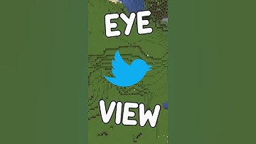 Minecraft but, its from a birds eye view...