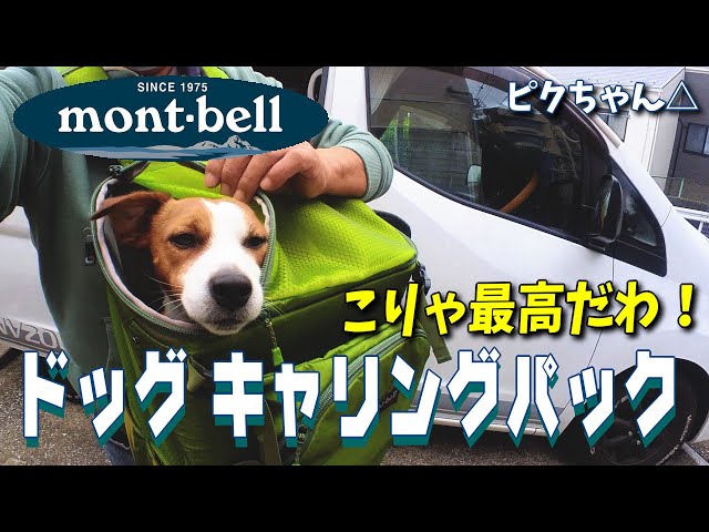 その他Mont-bell ドッグキャリング パック M グリーン - 犬用品