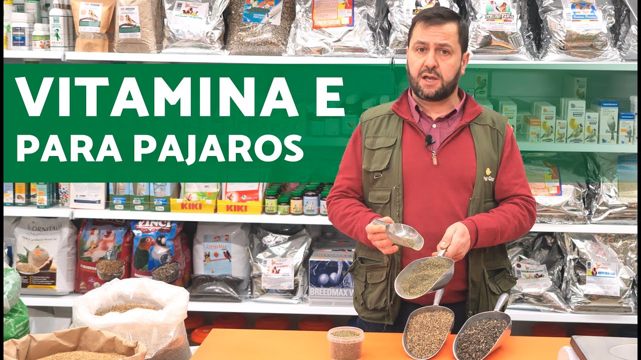Vitaminas NATURALES para PAJAROS (VITAMINA 