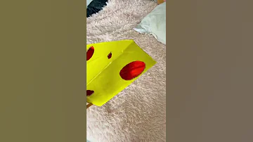 Дом сыр из картона и скотча для крыс 🐀