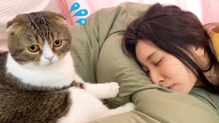 疲れてお昼寝するママVS遊んで欲しい猫
