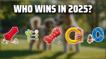 The Top 5 Best Chew Toys in 2025 - Must Watch Before Buying!