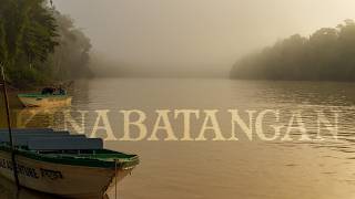 Borneo’s Kinabatangan River – 3D2N Wildlife Adventure \u0026 Big 5 Sightings