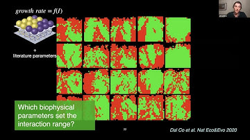Spatial Interaction Networks in Microbial Communities - Alma Dal Co