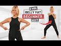 8-Minute Standing Abs Lower Belly Fat Workout | BEGINNER!