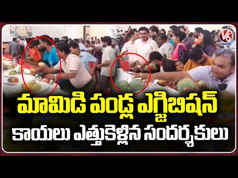 Mango Exhibition In Lucknow: Visitors Loot Fruits On Display | UP | V6 News - V6NEWSTELUGU