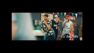 Irem Derici Acemi Balik Dj Said Mini Mix