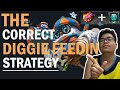 Correct Diggie Feeding Strategy | Mobile Legends